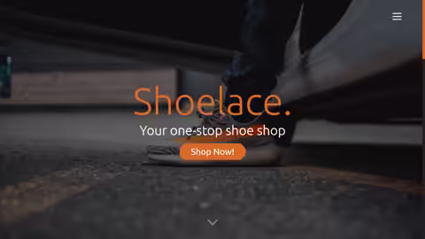 Shoelace. Project