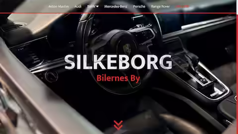 Silkeborg Project